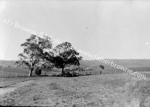 GATE IN FIRST PADDOCK